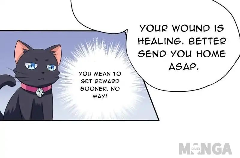 At Your Service, Kitty - episode 5 - 7