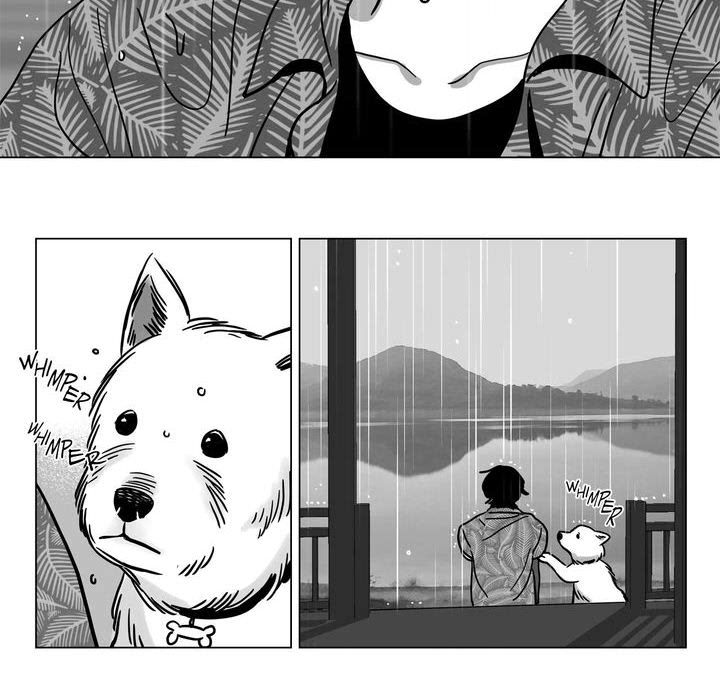 The Seagull and the Hunter - episode 12 - 19
