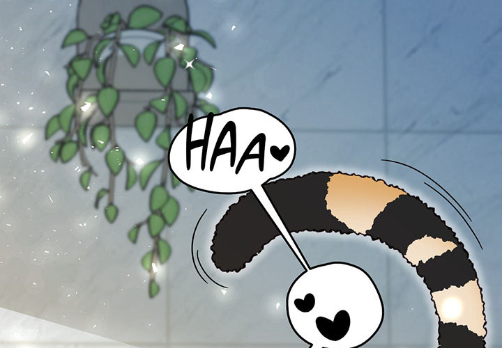 Zoo's Panic - episode 4 - 0